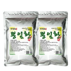자연초 뽕잎환