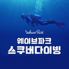 [경기 시흥] 웨이브파크 스쿠버다이빙 골드시즌