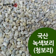 자연초 국산 녹색보리 청보리