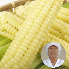 //상품명