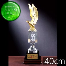 트로피 우승트로피 골프트로피 이글패 싱글패 홀인원패 골프상패 TF6-07901 리뷰후기