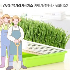 새싹 보리 재배기 고급형 1세트와 친환경 씨앗 500g, 재배기A 1매, 1개