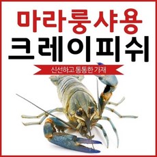 홈쇼핑 MD가 추천하는 호주사나이 크레이피시 Best5_크레이지마라 CRAZY마라 마라롱샤소스 &크레이피쉬 크레이피쉬8/12미 1개