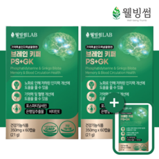 브레인 키퍼 포스파티딜세린 징코 은행잎추출물 두뇌 혈액순환 60캡슐, 3박스,