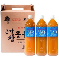 금강 참옻물 옻오르지 않는 옥천 옻물 리뷰 후기