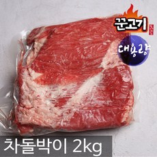꾼고기 차돌박이 대용량 차돌양지 리뷰후기