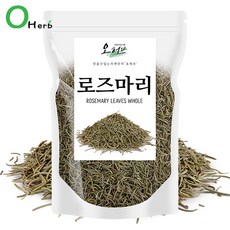 오허브 로즈마리 로즈마리홀 향신료 리뷰후기