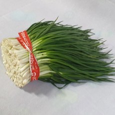 백산상회 깐파 풋마늘 리뷰후기
