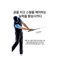 제이렉스 임팩트 타격 골프 스윙연습기 비거리 향상, 블랙, 1개