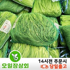 인기상품  마늘쫑 적극추천_국내산 햇 마늘쫑 500G 1KG 2KG 3KG 5KG, 1개