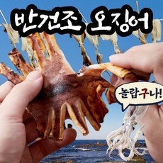 구룡포 자연건조 피데기 반건오징어 10마리 당일바리 반건조오징어 리뷰후기