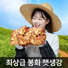 삼시세끼연구소 촉촉한 햇생강 국산 봉화 영주 안동 생강 흙생강 깐생강 다진생강 특품 리뷰후기