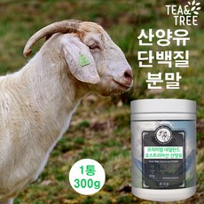 산양유 단백질 분말 산양 초유 프로틴 단백질 파우더 보충제 분리 대두 단백 유청단백질 유단백 동식물성 균형단백질 중년 여성 남성 어린이 청소년 근육 뼈 근손실방지 대용량 리뷰후기
