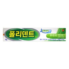 폴리덴트 의치부착재 후레쉬 민트