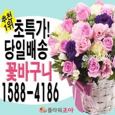 플라워조아 어버이날 꽃선물 스승의날 카네이션 꽃다발 감사선물 생화꽃 리뷰후기