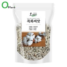 오허브 국산 목화씨 목화씨앗 면화자 리뷰후기