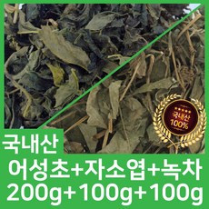 오허브 어성초자소엽녹차 셋트