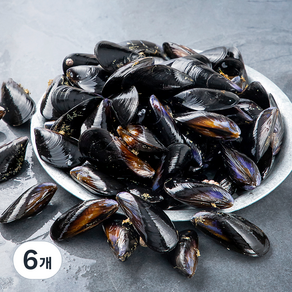 바다자리 국산 생물 홍합 (냉장), 6개, 1.5kg