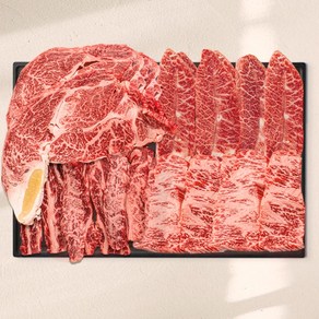 푸드지 마장동 1++ 투뿔 한우 No.9 마스터 세트, 1세트, 600g