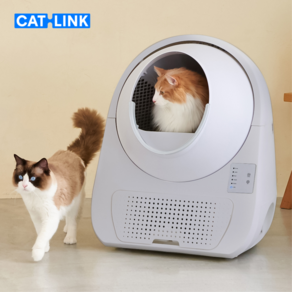 [공식] 캣링크 자동화장실 영 + 보조스텝 무료 증정 CATLINK SCOOPER YOUNG, 1개, 그레이