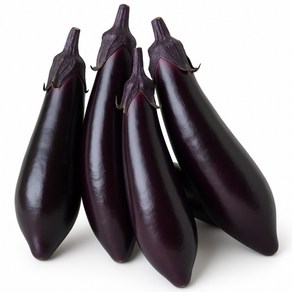 맛통령 국내산 가지, 1개, 3kg