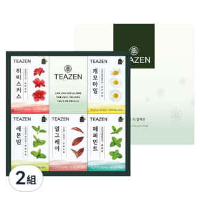 TEAZEN 康普茶 綜合茶禮盒組 附提袋, 洛神花茶1.8g*20包+洋甘菊茶1g*20包+薄荷茶1.2g*20包+香蜂草茶1.2g*20包+伯爵紅茶1.6g*20包, 2組