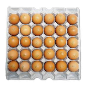 烤雞蛋, 40g, 1組