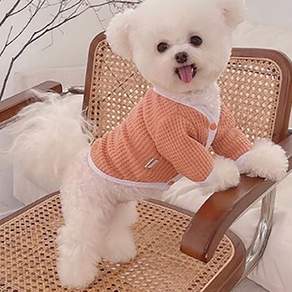petitdog 寵物犬用拼色開襟衫 DK025, 橘子