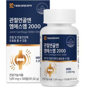 大熊生命科學關節軟骨 N MSM 2000, 120顆, 1個