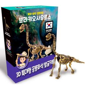 RORISTORE 恐龍船長化石洞穴套件brachi osaurus, 1組