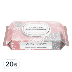 OLDam 掀蓋型可沖式濕紙巾, 62張, 20包