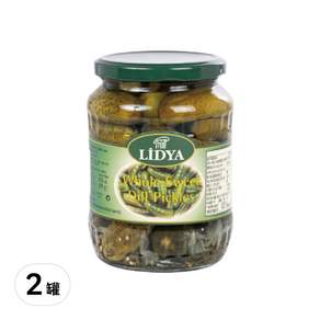 LIDYA 莉迪亞 酸瓜, 1.7L, 2罐