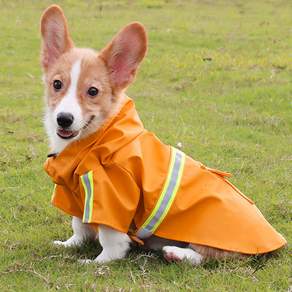 DING DONG PET 寵物短袖反光條雨衣, 橘子