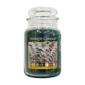 YANKee CANDLe 香氛蠟燭, 尤加利樹, 623g, 1個