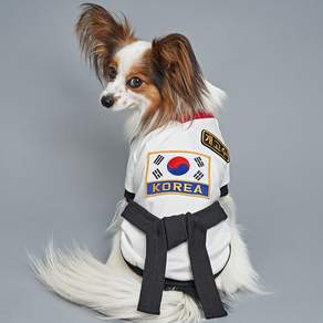 DOG-I 寵物跆拳道服, 黑帶