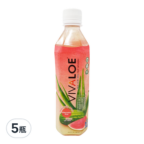 VIVALOE 纖薈 西瓜蘆薈果汁飲料, 500ml, 5瓶