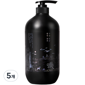 Pyungangyul 口腔活力草本洗髮水, 1000ml, 5個