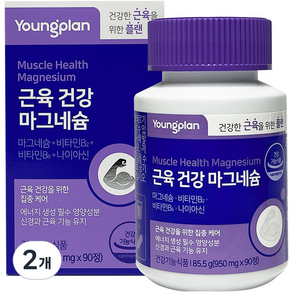 YUNGJIN PHARM Young Plan 鎂補充保健錠, 90顆, 2罐