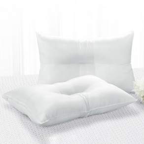 NEMOLINE 拉鍊式低枕枕芯, 白色, 2入