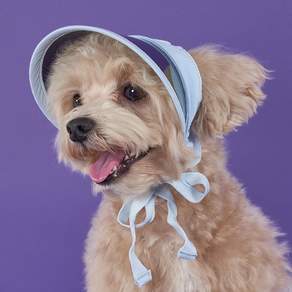 狗眼寵物遮陽帽, 藍色
