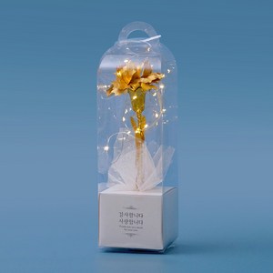 morningscent 조화 반딧불 카네이션 + 조명 세트, 금, 1세트