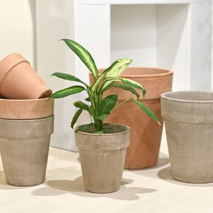 마이플랜트 이브 바소 알토팟 이태리 토분 화분 단품, 1개, 아레나