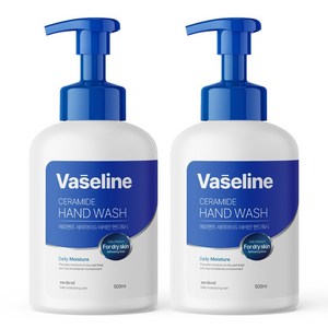 1+1 메르헨트 바세린 세라마이드 핸드워시 500ml 손세정제 물비누 퍼퓸 향기좋은 리필, 2개