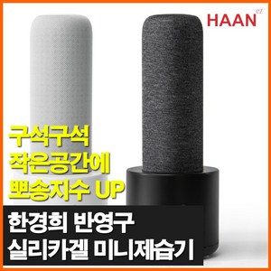 미니제습기 원룸 제습기 욕실 화장실 습기제거 가정용 소형 제습기, 본품(건조기+제습제)-블랙