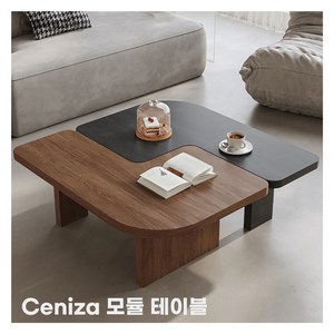 Ceniza 거실 테이블 유럽풍 디자이너 모듈 탁자, 월넛