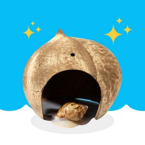 달팽이 햄스터 파충류 코코넛쉘 세틀 프리미엄 코코넛 껍질 은신처, 천연 코코넛쉘, 1개