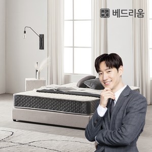 베드리움 프라이스 FREE 독립형 스프링 매트리스 Made in Korea, 그레이, 20cm