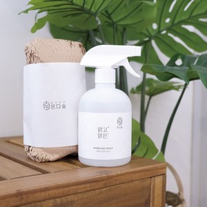 온다숲 피톤치드 스프레이 100% 편백수 아토피인증, 500ml, 1개