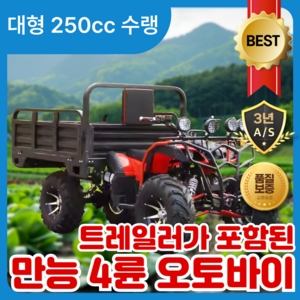 워크마스터 작업용 4륜 오토바이 전기 스쿠터 바이크 사발이 산악용 농업용 상업용, 대형 250cc 수랭