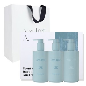 에이엠트리 프레그런스 숲 향좋은 퍼퓸 바디케어 선물세트 우디향 300ml (워시2p+로션1p), 1개